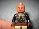 figs_010.jpg