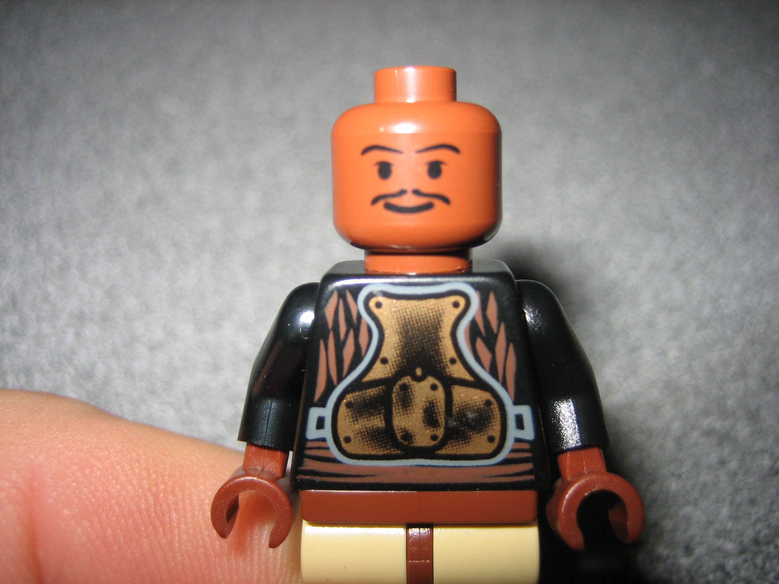 figs_010.jpg
