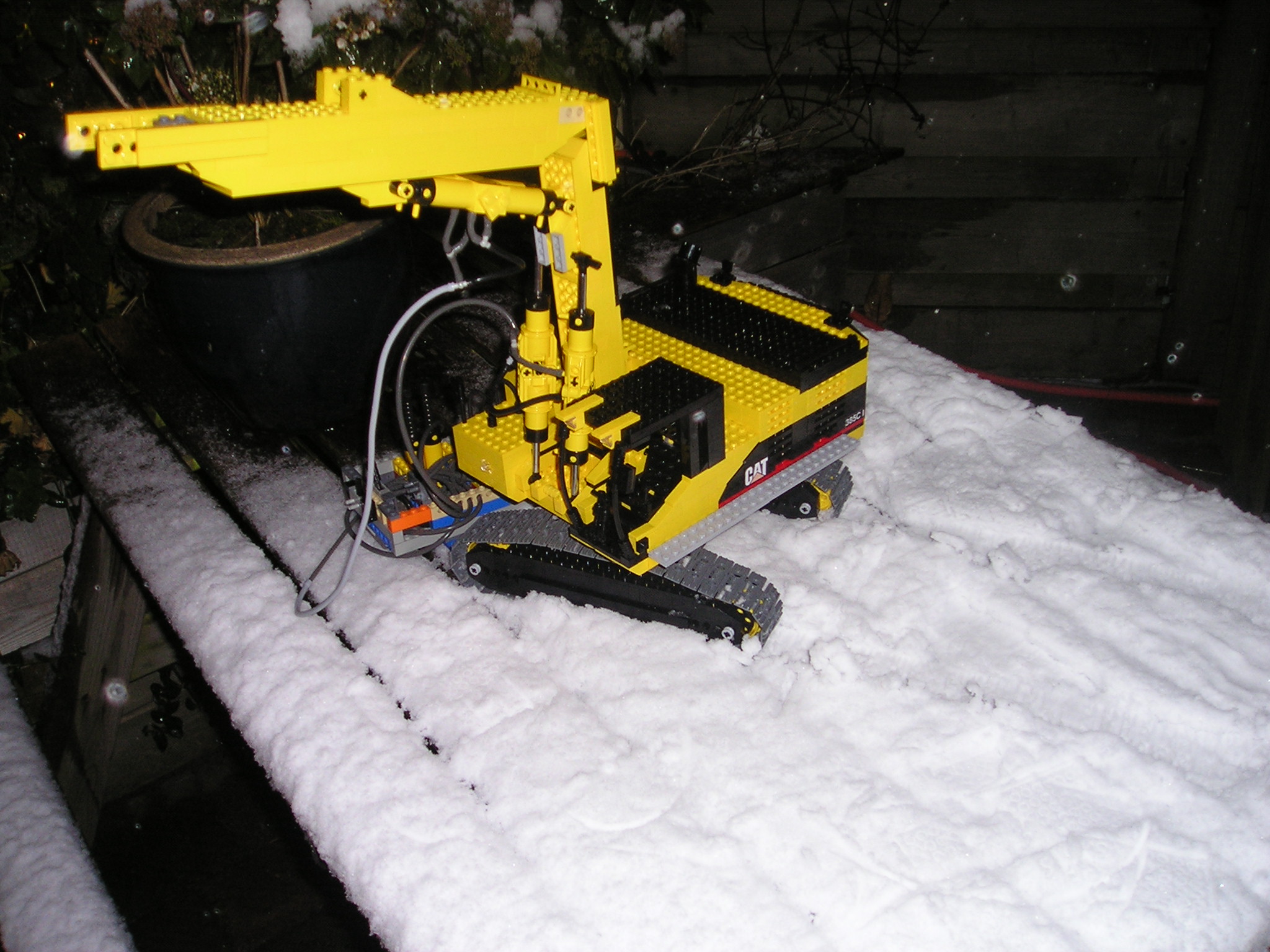 cat_31.jpg