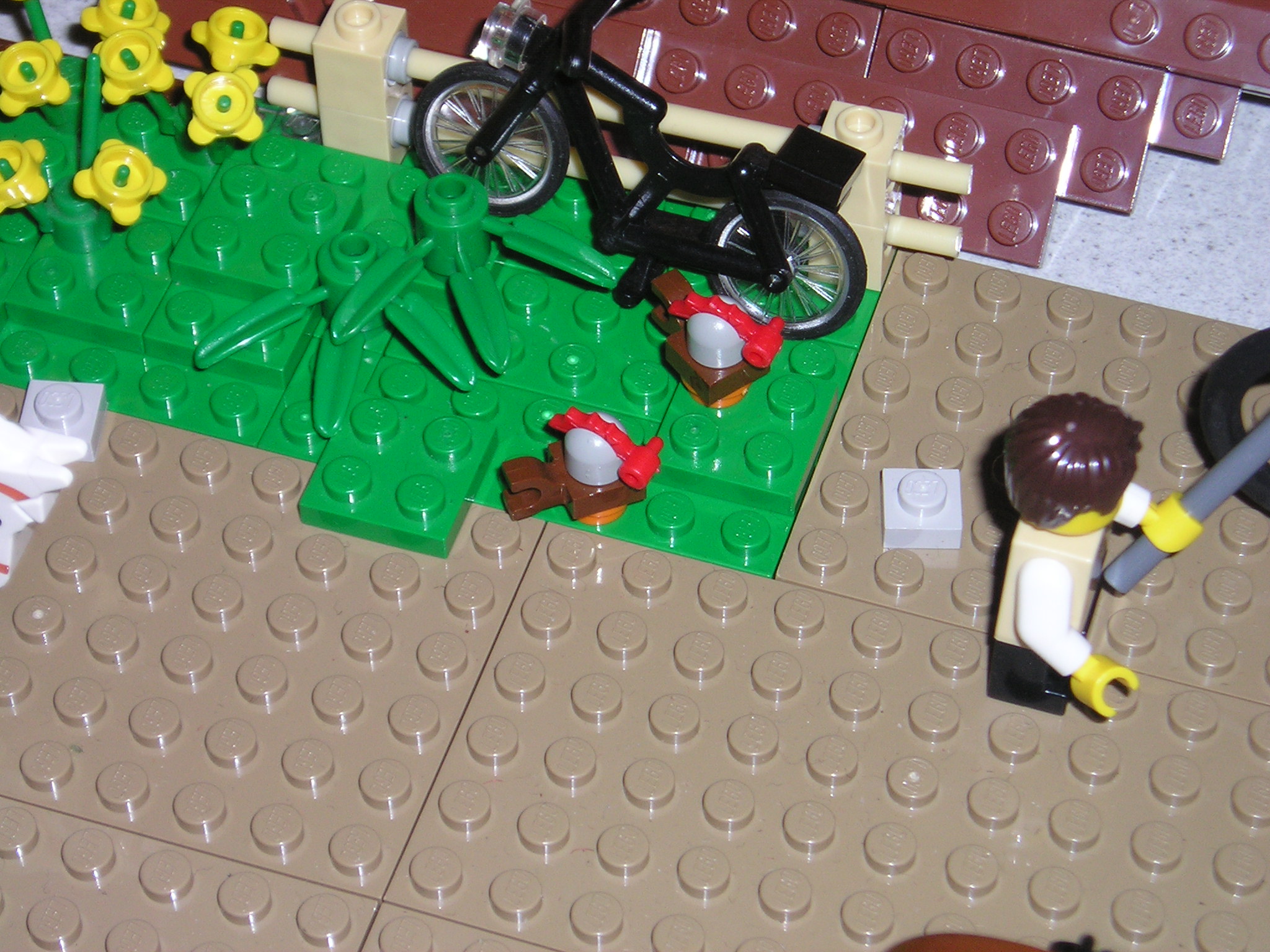 p1010152.jpg