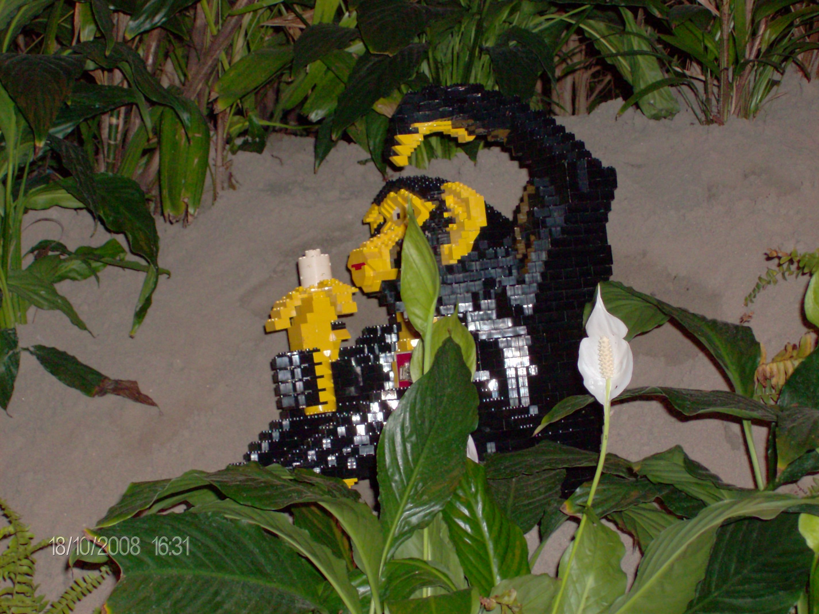 hpim0792.jpg