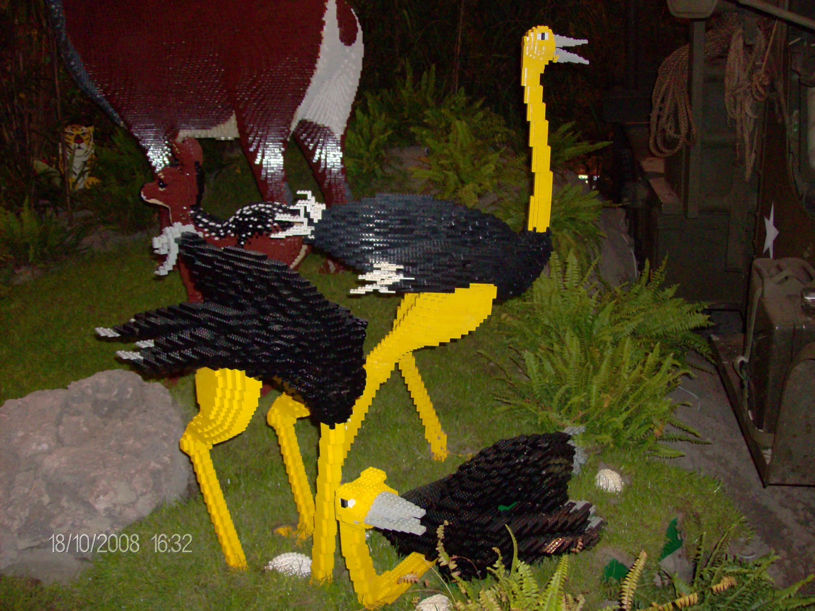 hpim0796.jpg