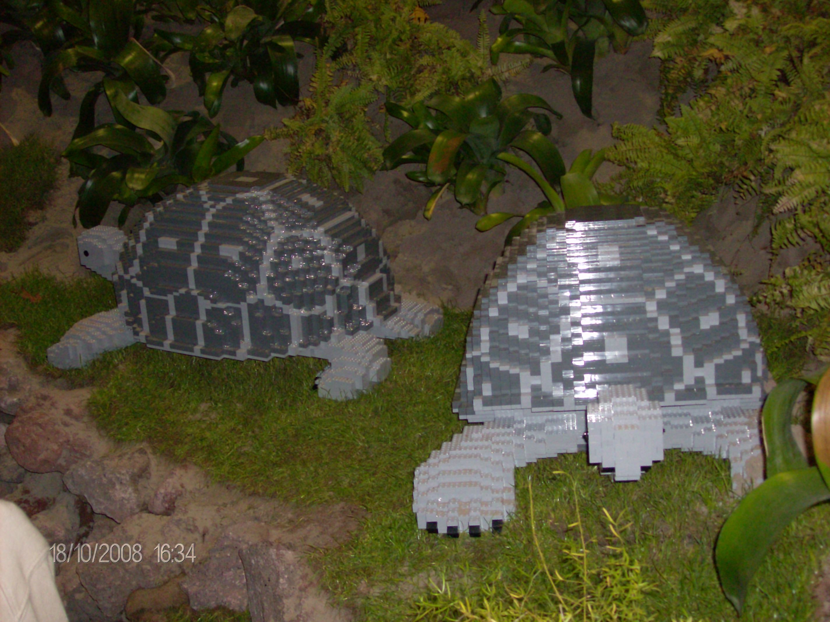 hpim0802.jpg