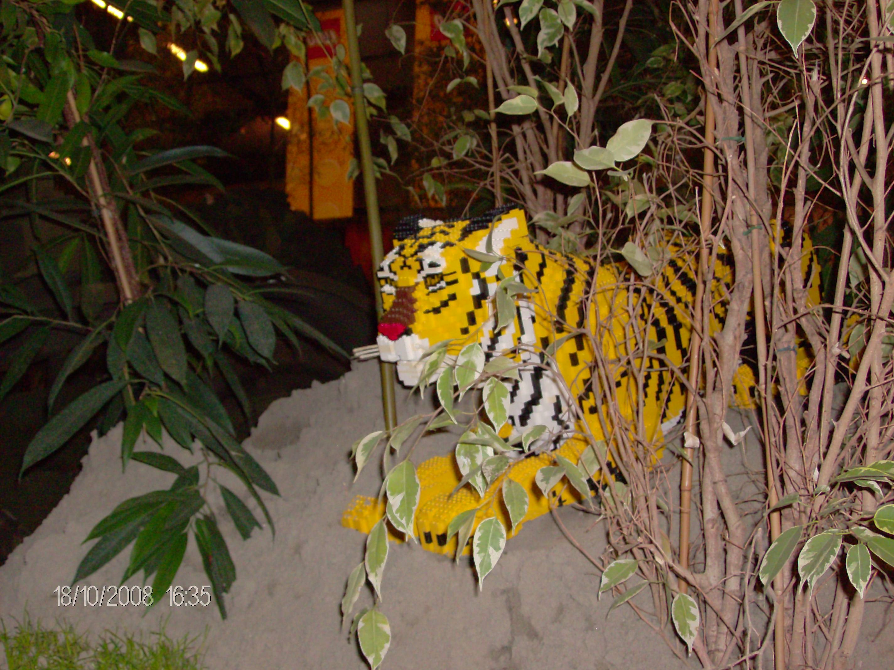 hpim0806.jpg