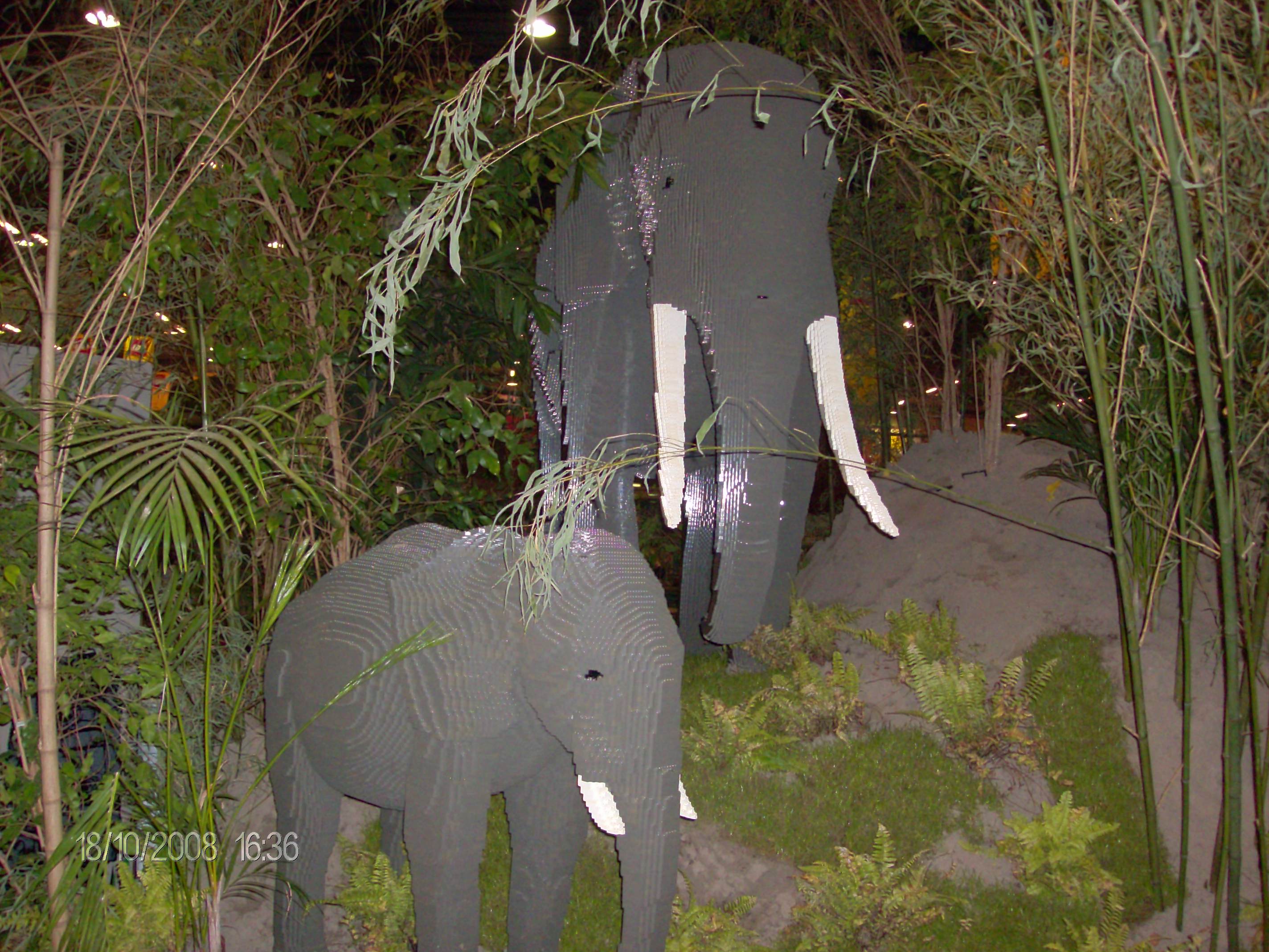 hpim0807.jpg