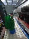 sdc10854.jpg
