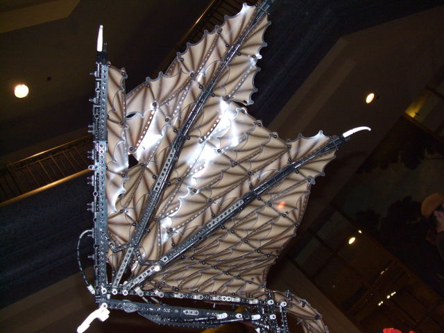 p505bf20060151.jpg