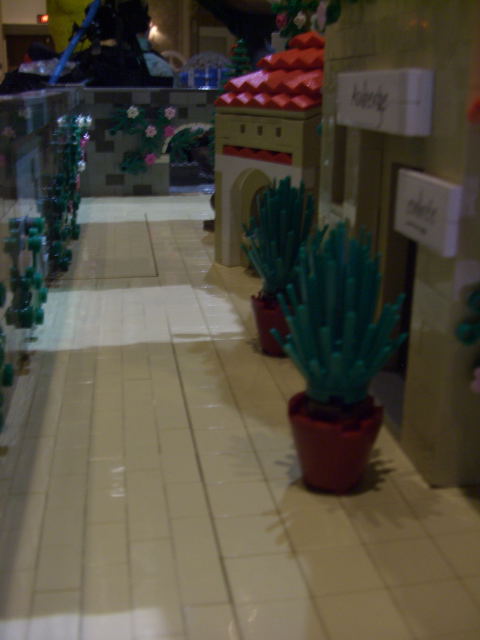 p505bf20060170.jpg