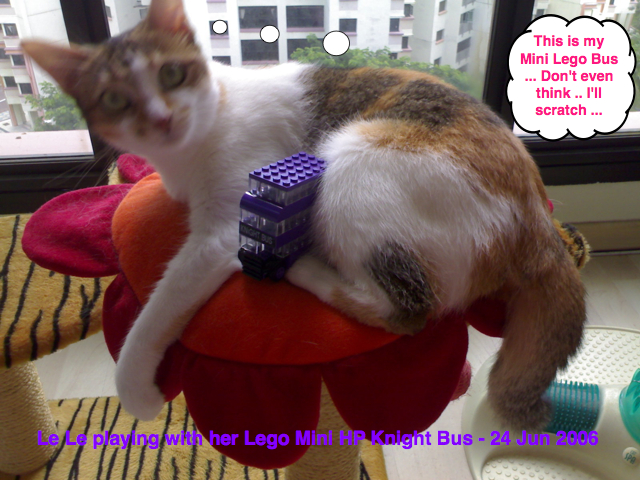 leleminiknightbus24jun06.jpg