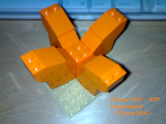 flowerex1.jpg