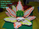lotus02aug2006.jpg