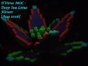 lotus06aug2006.jpg