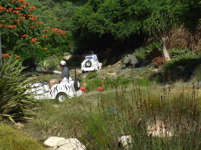 call10023.jpg