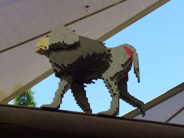 call10036.jpg