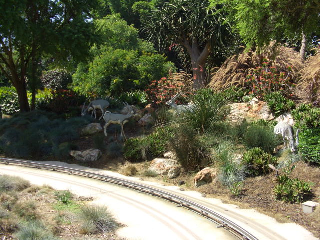 call10053.jpg