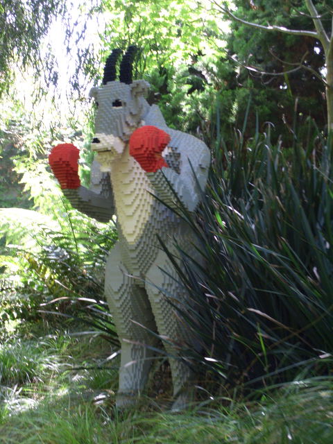 call10081.jpg