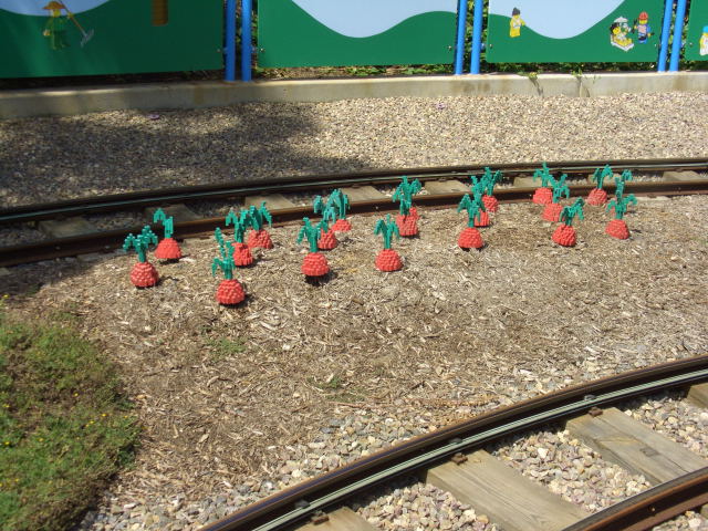 call10138.jpg