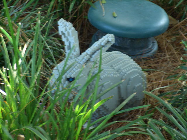 call10377.jpg