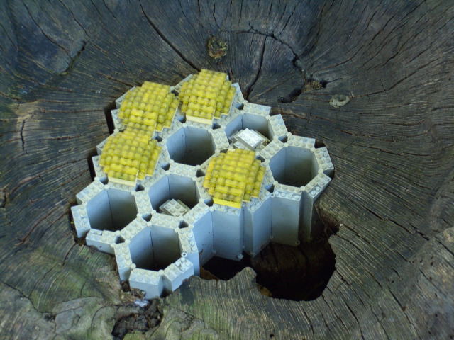 call10378.jpg
