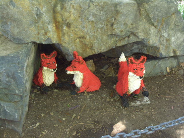 call10379.jpg