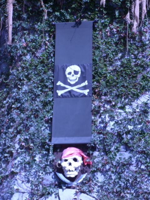 call20006.jpg