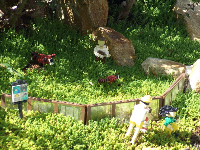 call20094.jpg