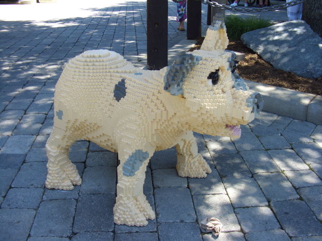 call20356.jpg