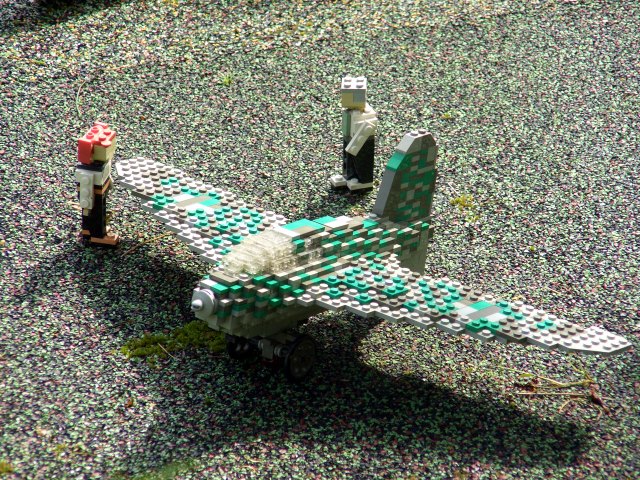 cimg2376.jpg