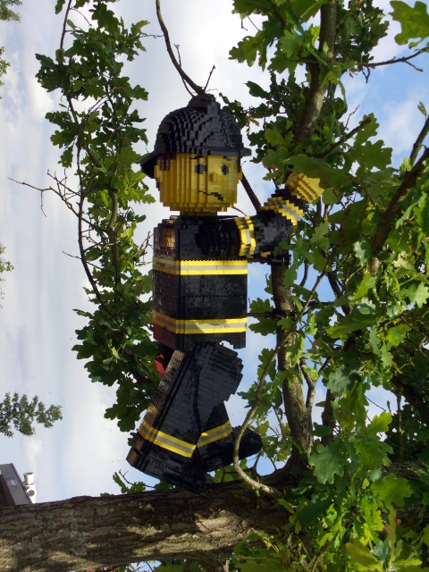 cimg2741.jpg