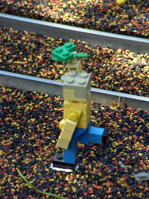 cimg3239.jpg