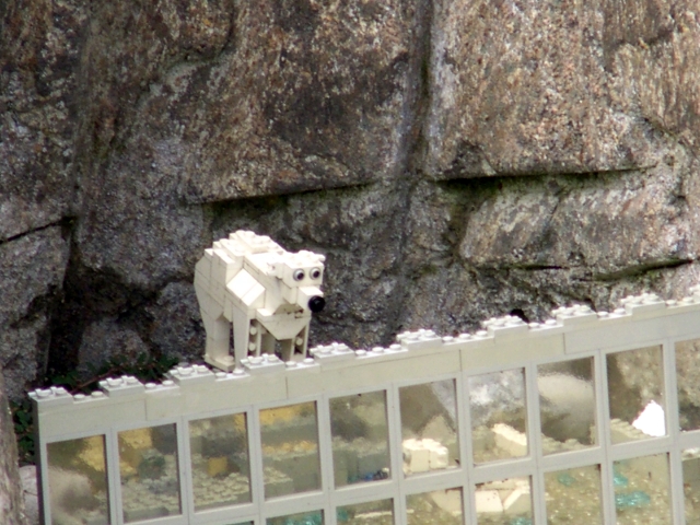cimg0694.jpg