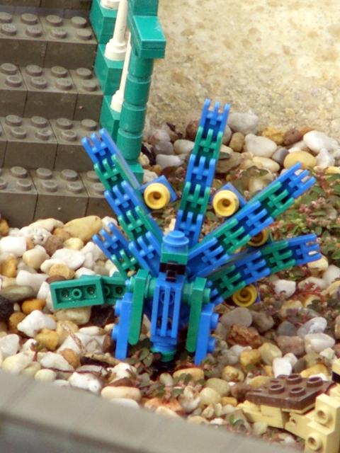 cimg0697.jpg