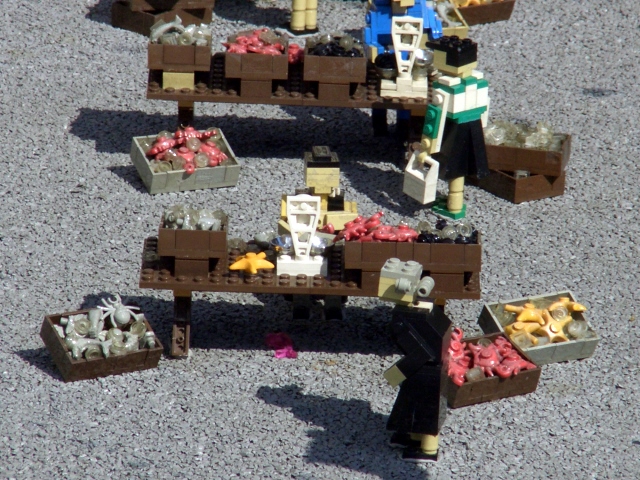 cimg0938.jpg