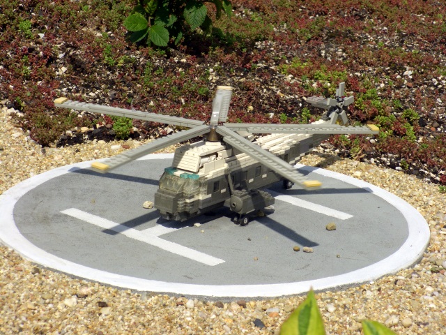 cimg1162.jpg