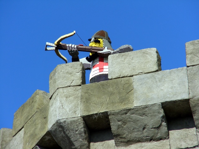 cimg1554.jpg