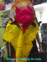 dragondressup26jun06.jpg
