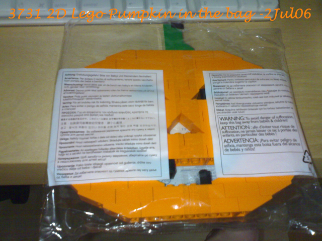 pumpkinbag02jul06.jpg