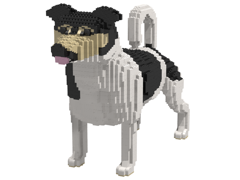 jackrussel.png