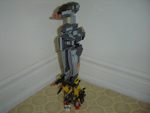 bwing1.jpg