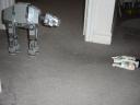 dsc00339.jpg