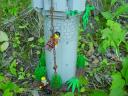 dsc00130.jpg