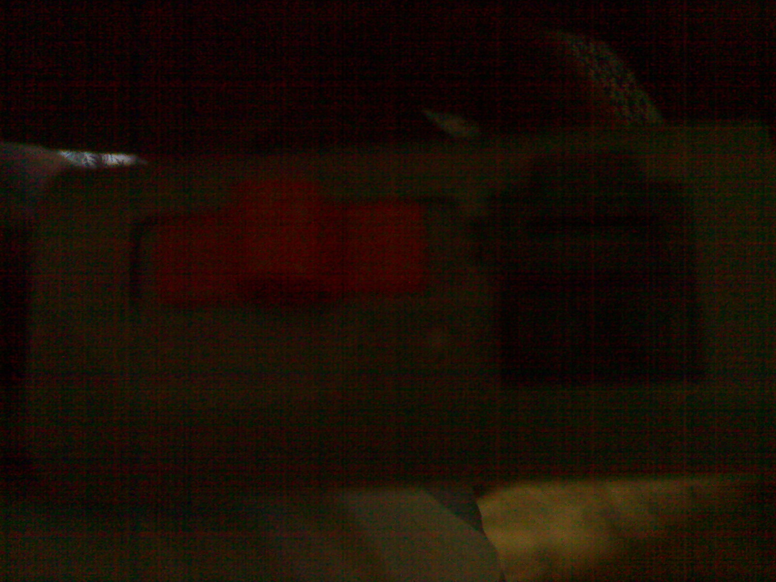 12112009489.jpg