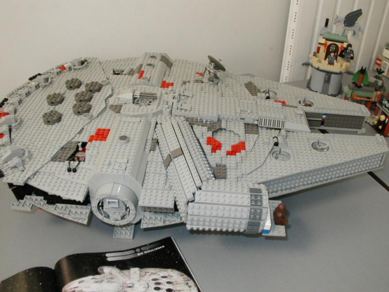 banban_falcon.jpg