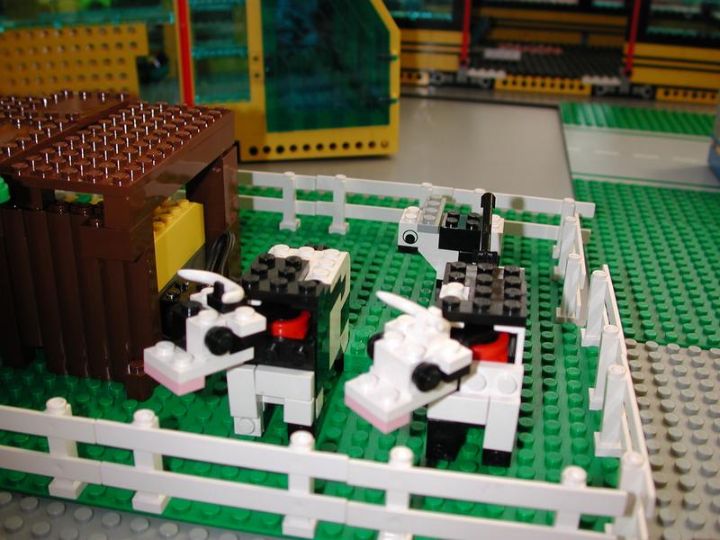 0_cows.jpg