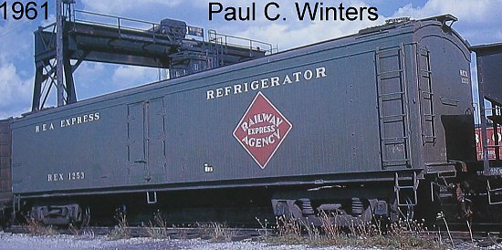 zprototype-reefer-rex.jpg