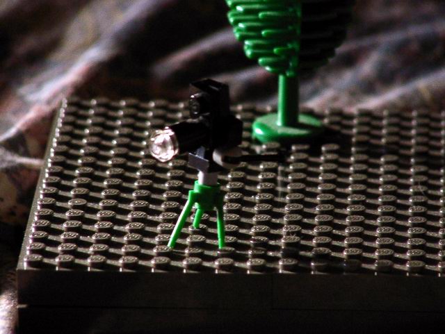 pa310002.jpg