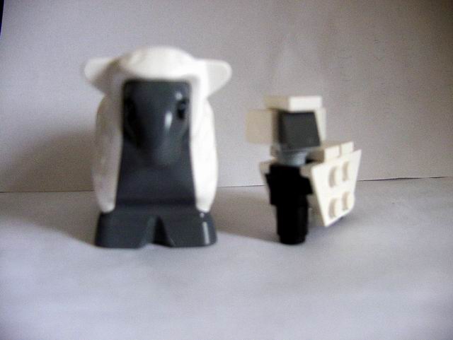pc250020.jpg