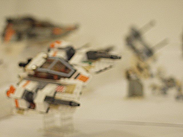 p6059046.jpg
