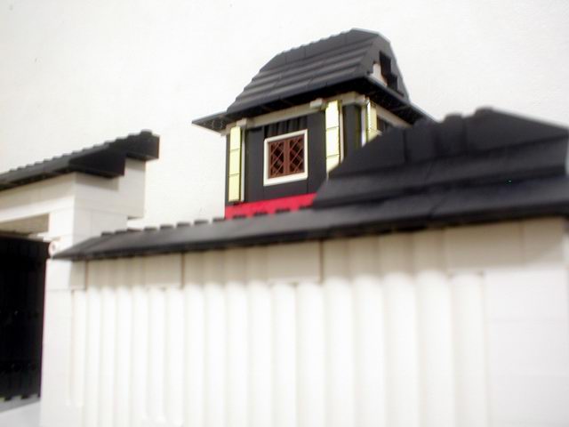 p9160018.jpg