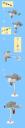 twilight_ins3.jpg